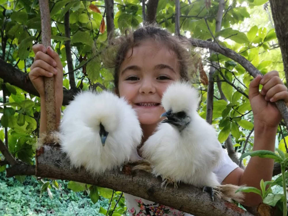 Hands-on Nature: Animals and Wild Herbs at a Pesaro Farm