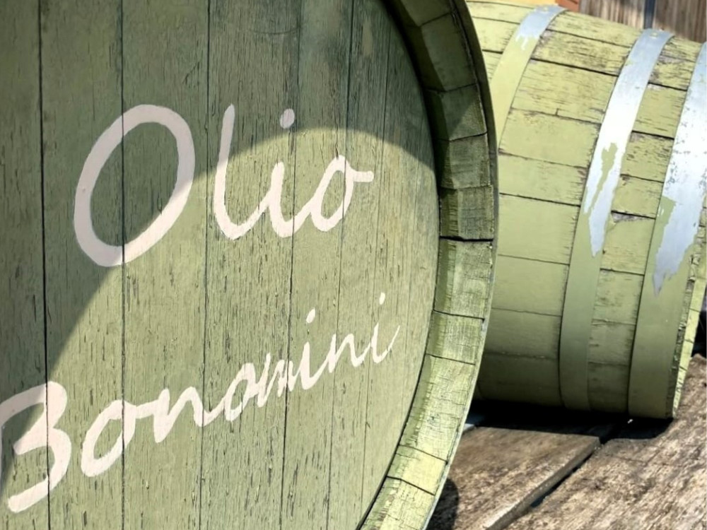 Small Group: Olive Mill Tour and Tasting in the Verona Countryside