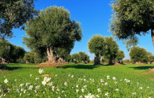 Slow Travel Italia5