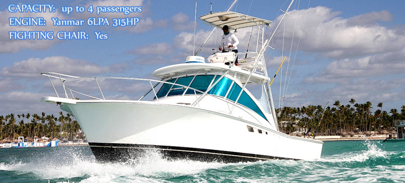 Private Offshore Fishing Charter - Cana 32'