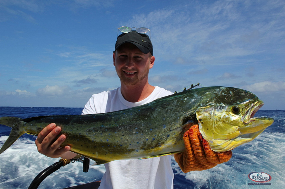 Big Marlin Punta Cana