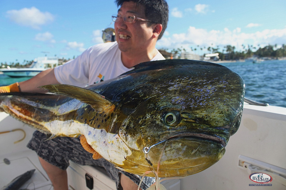 Big Marlin Punta Cana