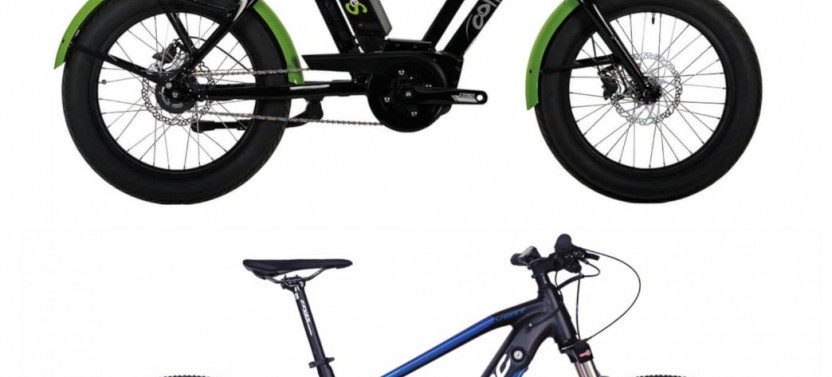 Half Day Electric Bike Rental (up to 4 Hours)