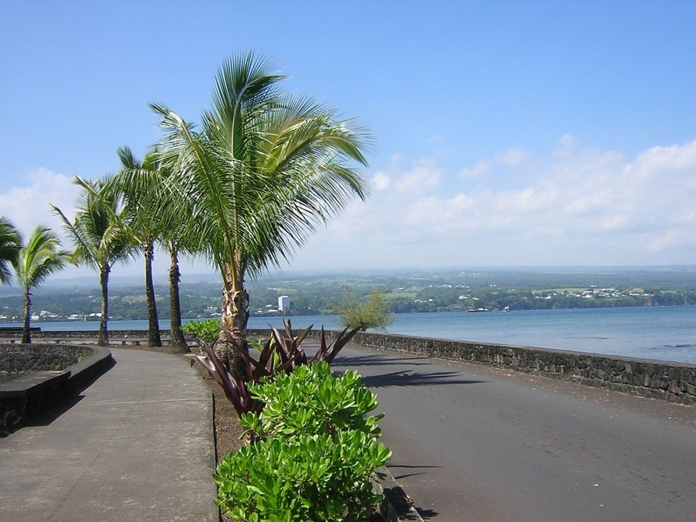 Banyan Drive