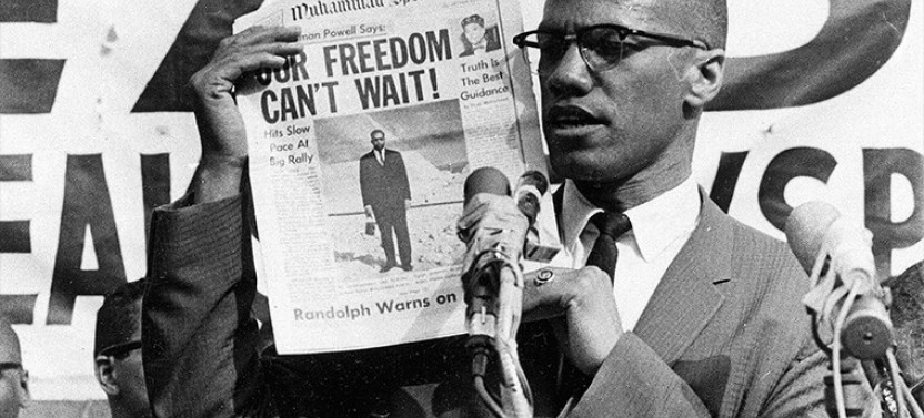 Harlem Civil Rights Walking Tour with Lunch