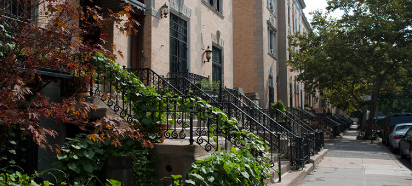 Harlem Renaissance Walking Tour with Lunch