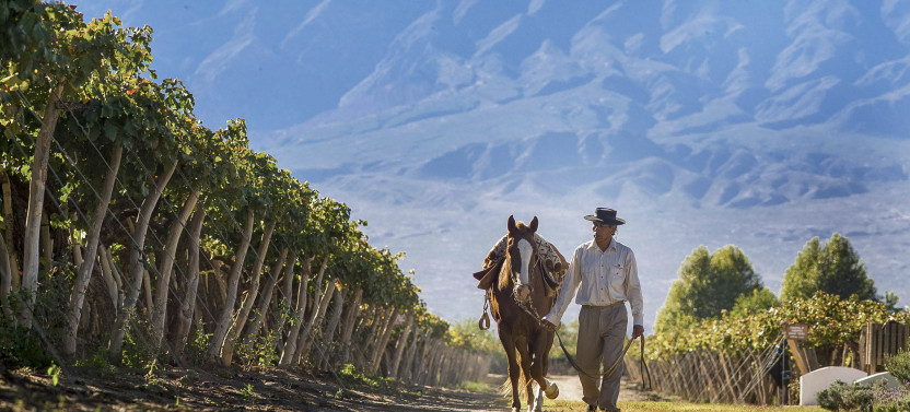 12 Days – Buenos Aires, North of Argentina & Mendoza