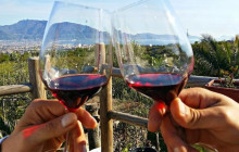 AmalfiDriver.com Tours & Transfers with experience12