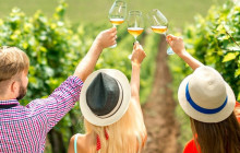 AmalfiDriver.com Tours & Transfers with experience13