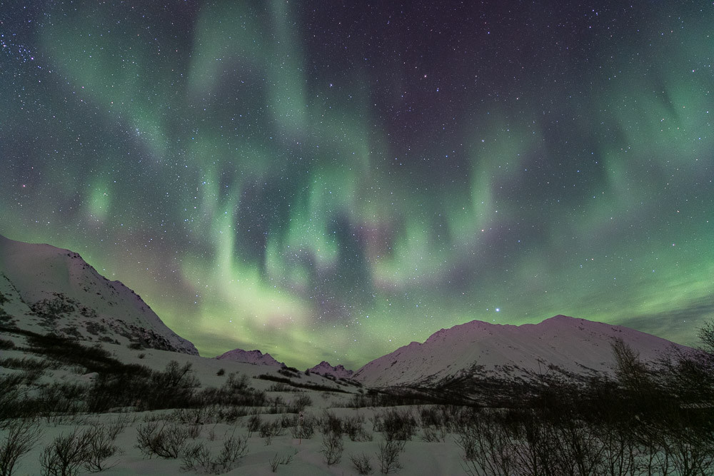 Anchorage Aurora Quest - Northern Lights Tour - Anchorage | Project ...