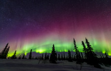 Anchorage Aurora Quest - Northern Lights Tour