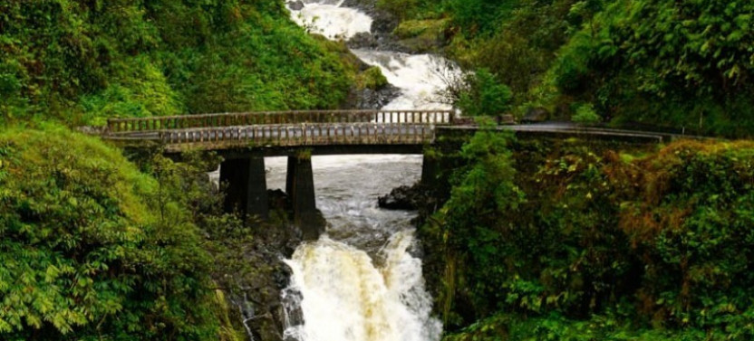 Private: Trip to Hana & All the Way Around with Hotel Pick Up