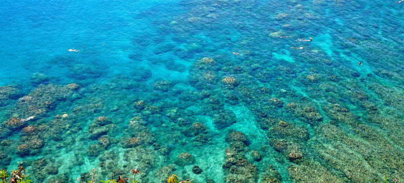 Private West Maui Adventure With Hotel Pick Up - Iao Valley