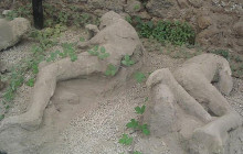 AmalfiDriver.com Tours & Transfers with experience18