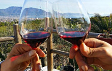 AmalfiDriver.com Tours & Transfers with experience19
