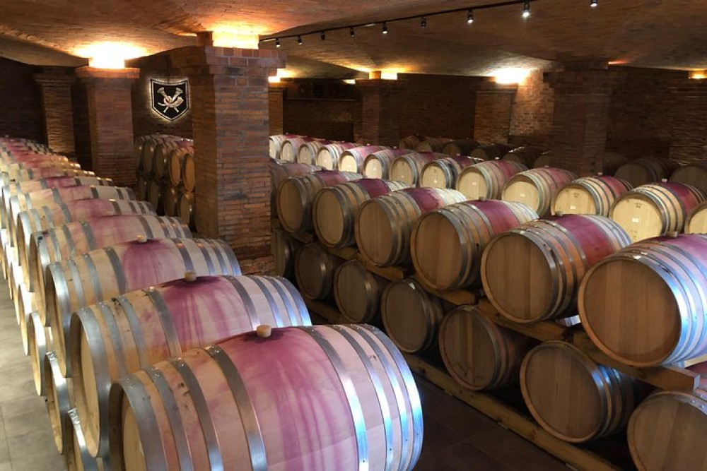 Wine Tasting, Cape Dutch Farm and Art Day Tour from Cape Town