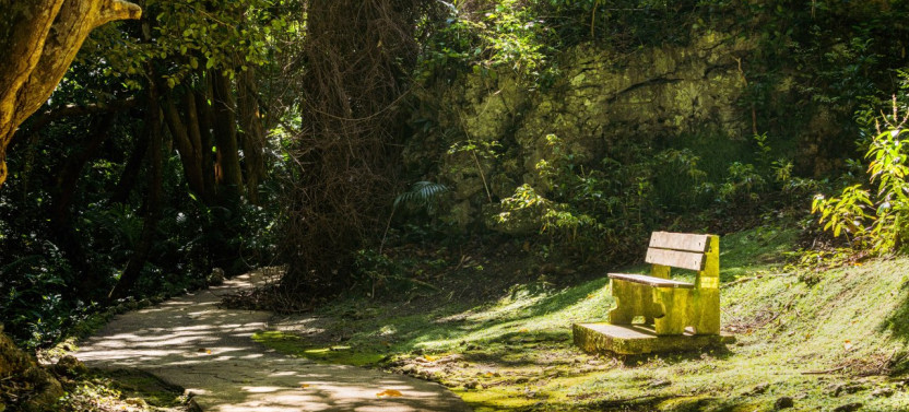 Enchanted Gardens of Barbados