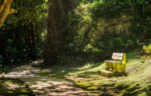 Hunte’s Gardens2