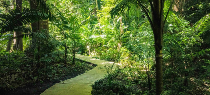 Enchanted Gardens of Barbados