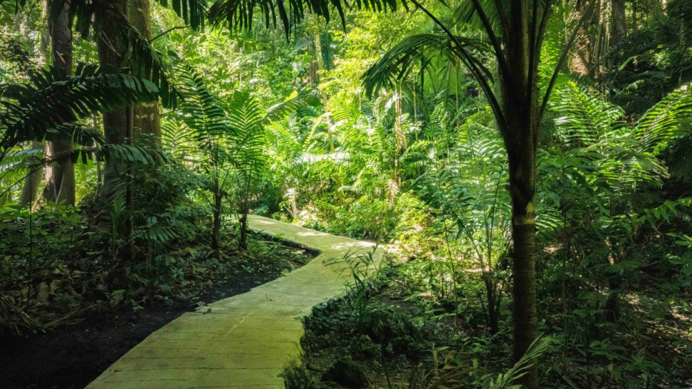 Enchanted Gardens of Barbados