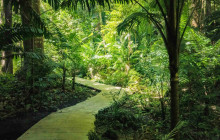 Hunte’s Gardens1