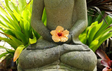 Hunte’s Gardens7