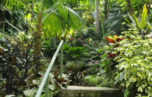Hunte’s Gardens12
