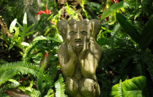 Hunte’s Gardens22