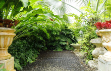Hunte’s Gardens28