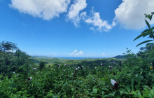Hunte’s Gardens30