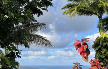Hunte’s Gardens31