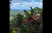 Hunte’s Gardens12