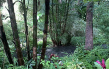 Hunte’s Gardens34
