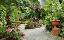 Hunte’s Gardens3