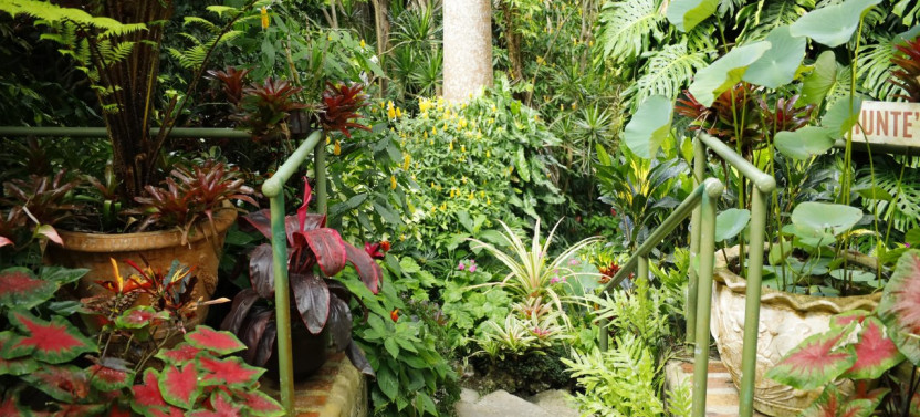 Hunte's Gardens & Harrison's Cave Experience