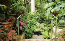 Hunte’s Gardens1