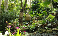 Hunte’s Gardens4
