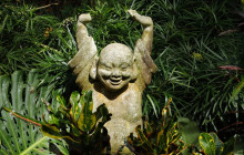 Hunte’s Gardens6