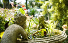 Hunte’s Gardens10