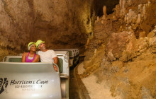 Hunte’s Gardens16