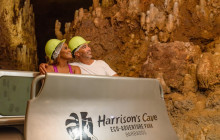 Hunte’s Gardens23
