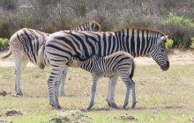 African Moon Adventures (Pty) Ltd6