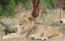 African Moon Adventures (Pty) Ltd13