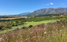 African Moon Adventures (Pty) Ltd16