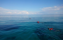 Catamaran Belize9