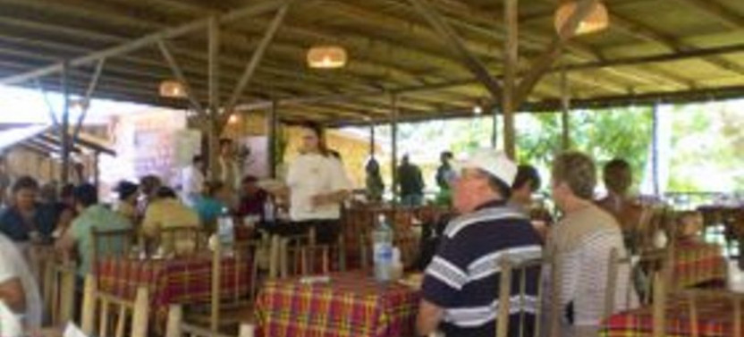 3 in 1 Experience: Zipline, Rum, Lunch and Chocolate Tasting Tour