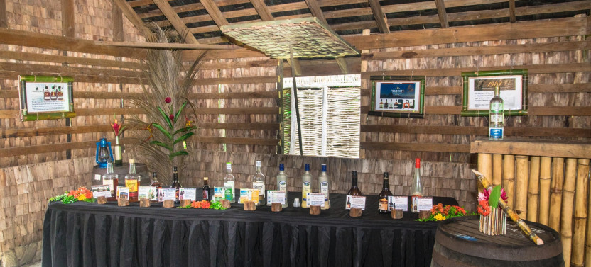 3 in 1 Experience: Zipline, Rum, Lunch and Chocolate Tasting Tour