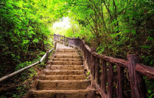TripGuru - Thailand7