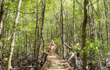 TripGuru - Thailand5