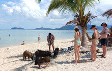 TripGuru - Thailand12
